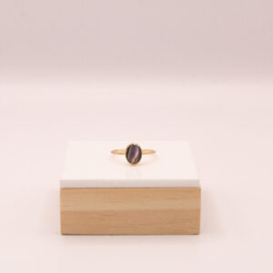 Gold-Fill bezel set 8x6mm Abalone ring